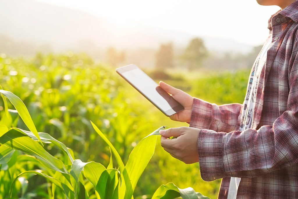 Controle Agrícola. Como administrar os custos de sua fazenda