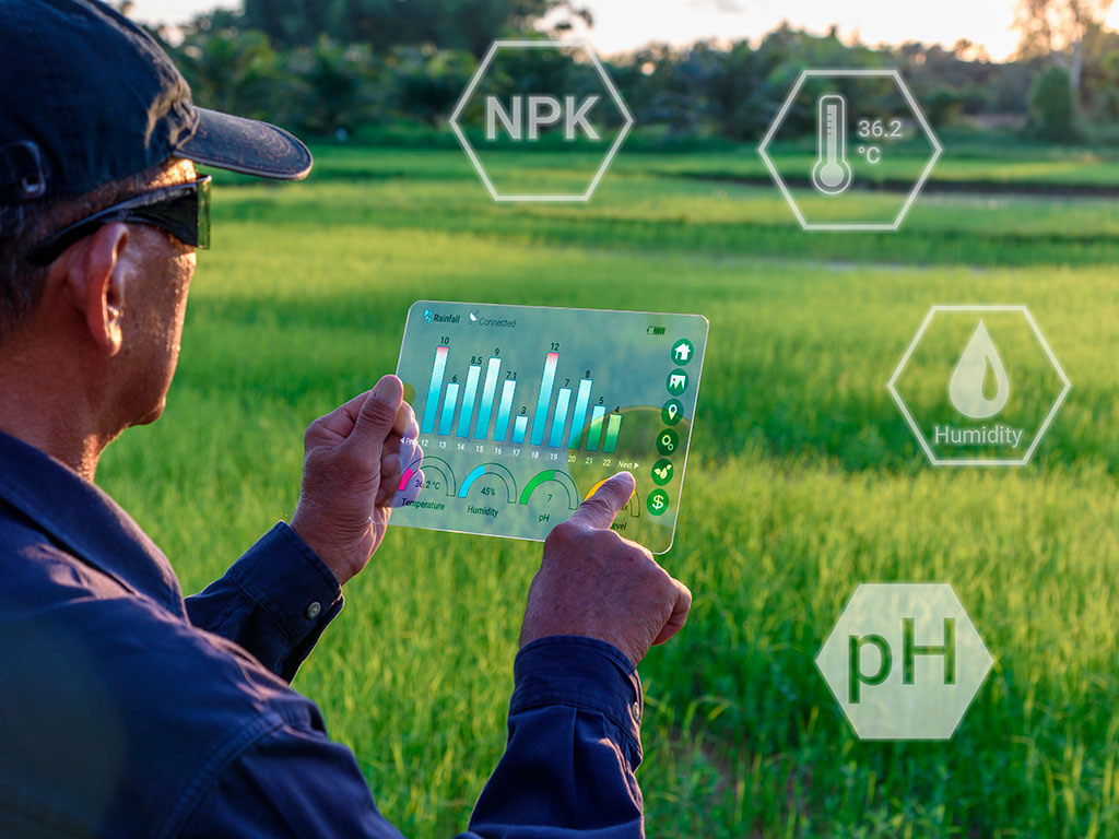 Fertilidade do solo. Como obter alta produtividade