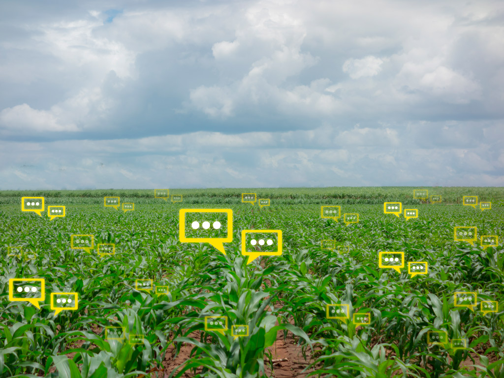 Agricultura de precisão para solo e o uso dos sensores