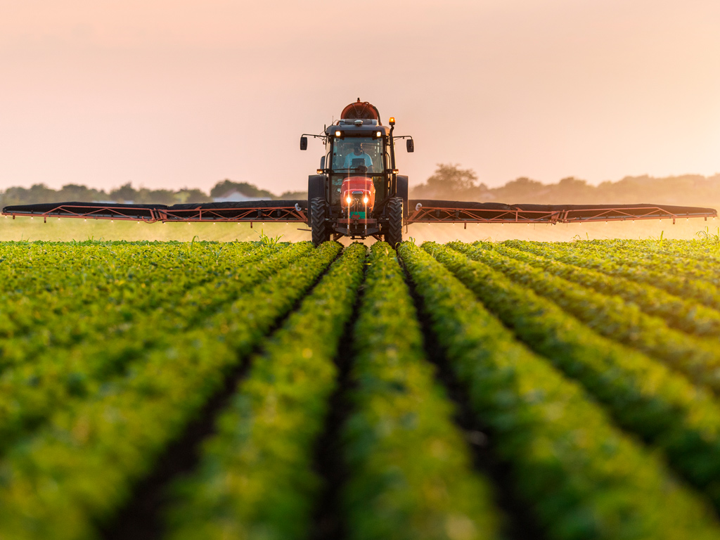Herbicida 2,4-D. Benefícios e cuidados na utilização