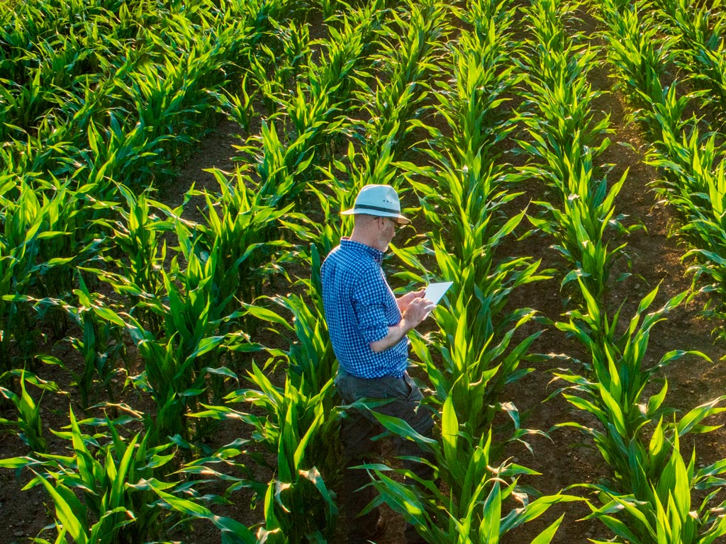 Aplicativo Rural. Conheça os melhores para seu negócio
