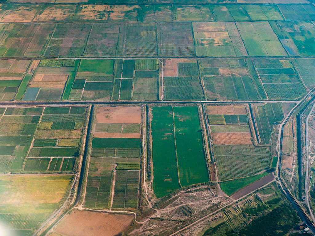 NDVI e NDRE: O que são, suas diferenças e quando utilizá-los