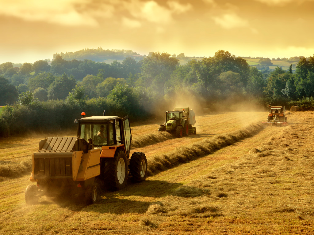 Dicas para melhor gestão de máquinas agrícolas e implementos