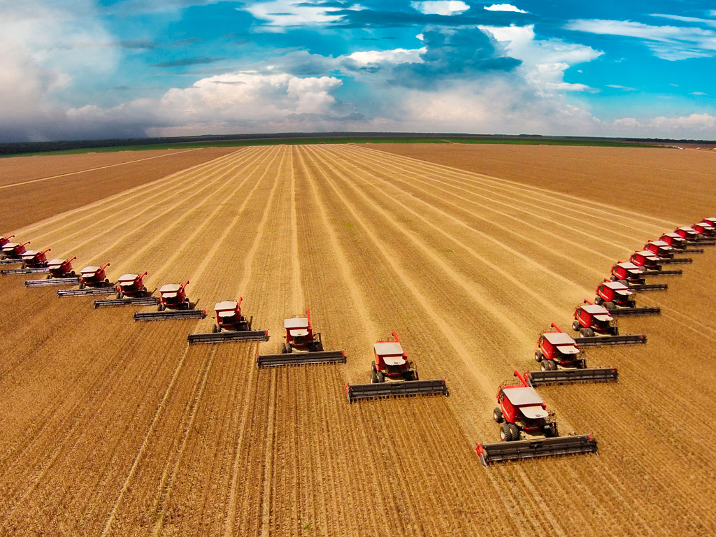 Agronegócio no Brasil: Cenário, oportunidades e expectativas
