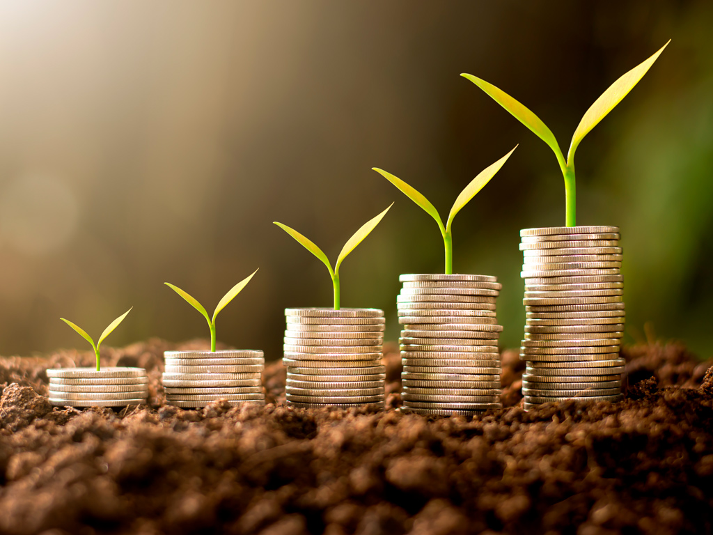 Controle Financeiro Agrícola na produção de cana-de-açúcar