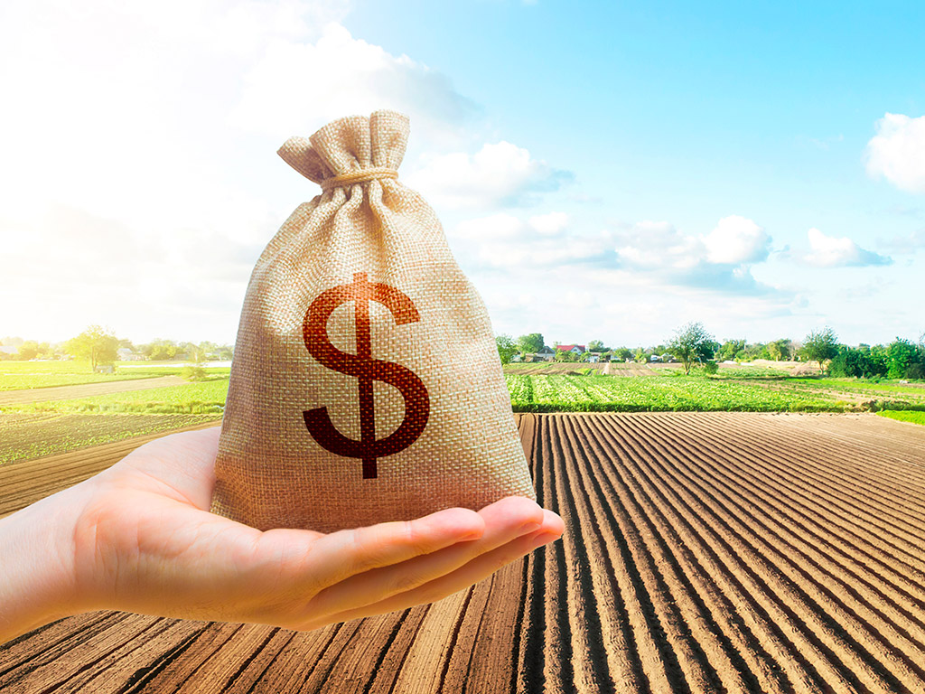 Controle financeiro na lavoura: Como e porque fazer