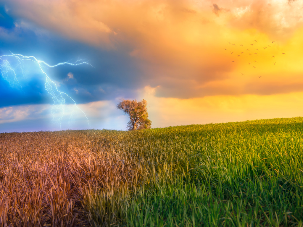 Previsão do tempo para hoje: Um dos temas mais pesquisados