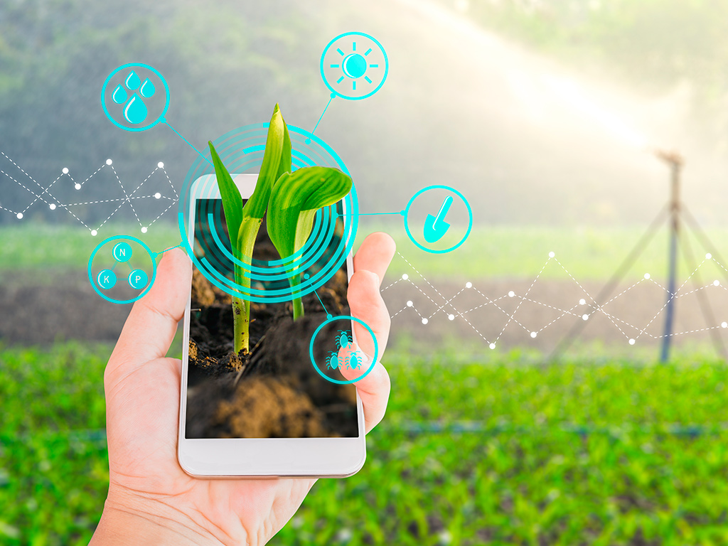 Agricultura digital no Brasil: Avanços e maiores desafios