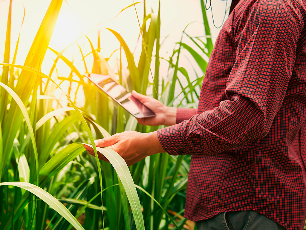 Custo Agrícola por fazenda, talhão e operação no cultivo da Cana