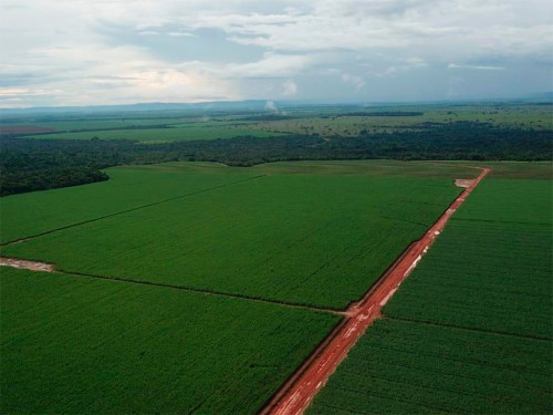 Fazenda Tupy e CHBAGRO: Receita para o Crescimento