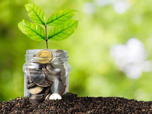 Benefícios da Gestão Agrícola no Preparo e Manejo do Solo