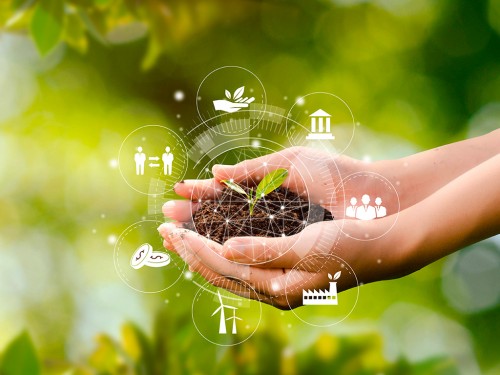 Gestão Integrada da Fazenda: Como Economizar com Insumos