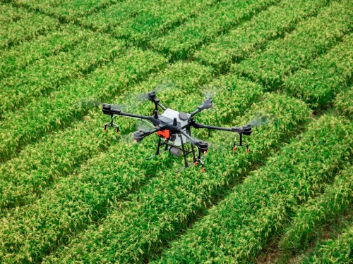 O que é NDRE e a sua aplicação na agricultura