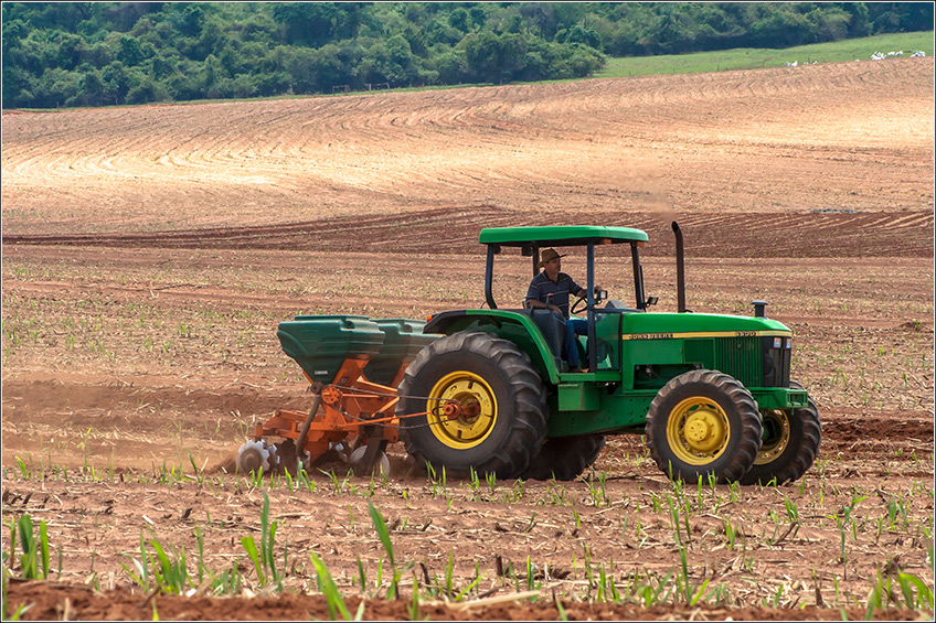 Nutrição e Adubação da Cana-de-Açúcar