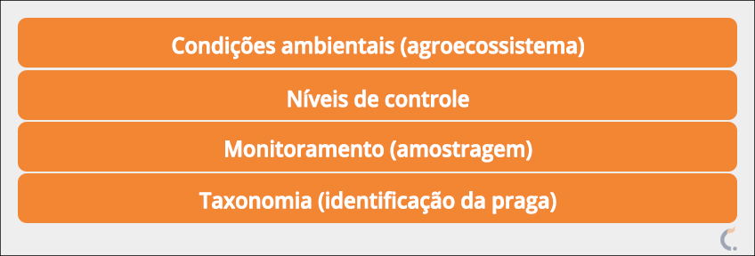 Base dos Pilares do MIP Base dos Pilares do MIP