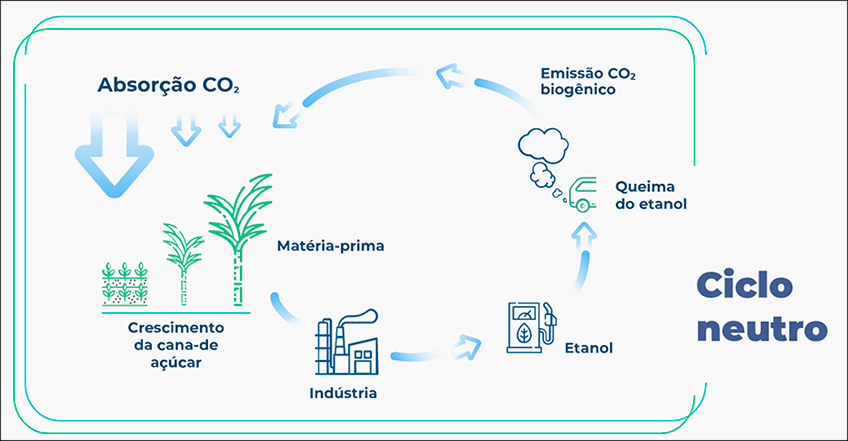 Ciclo Neutro da Cana-de-Açúcar