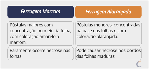 Diferenças Entre Ferrugem Marrom e Ferrugem Alaranjada Diferenças Entre Ferrugem Marrom e Ferrugem Alaranjada