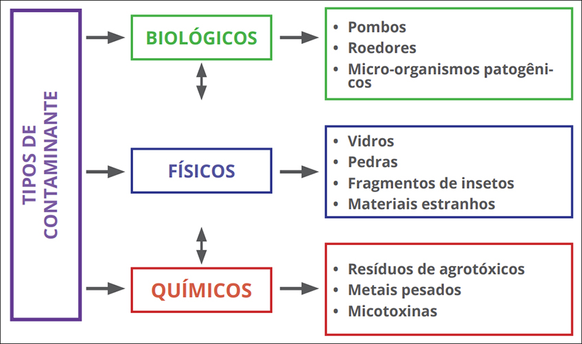 Contaminantes em Silos