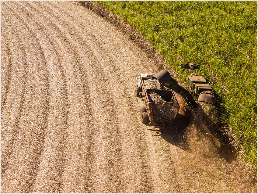 Custo Agrícola da Colheita da Cana-de-Açúcar Custo Agrícola da Colheita da Cana-de-Açúcar