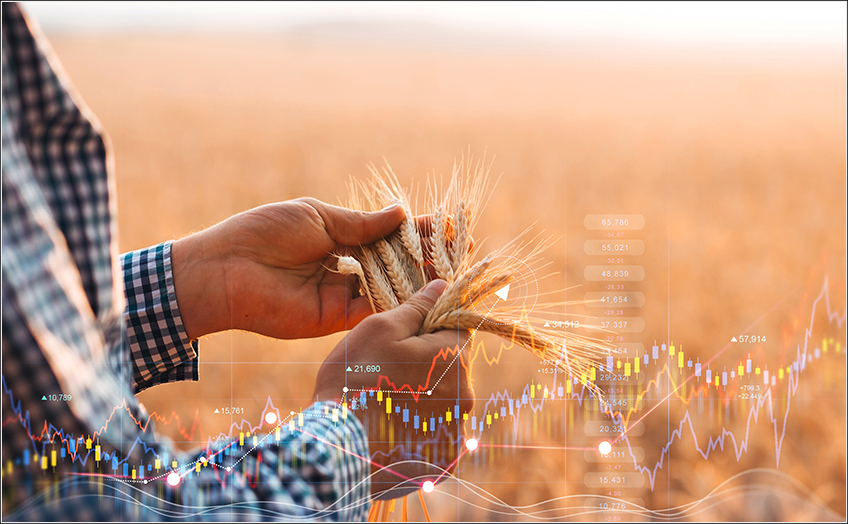 Custo Agrícola para Grãos