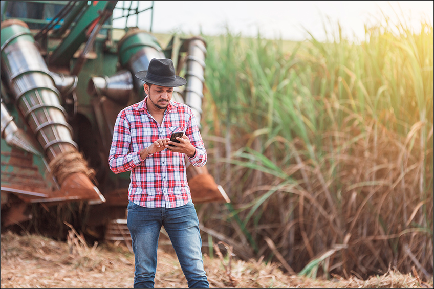 Máquinas e Implementos Agrícolas na Cana