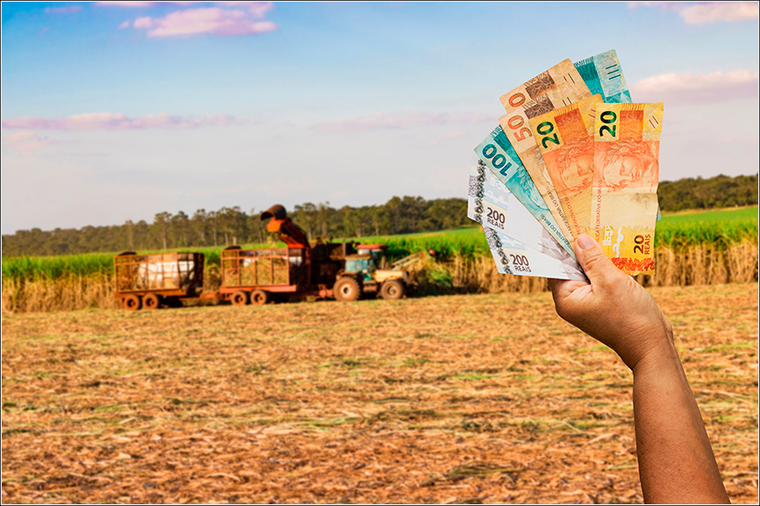 Despesas na Colheita da Cana-de-Açúcar