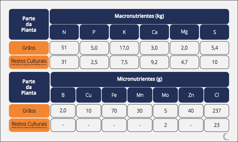 Exigências Nutricionais da Soja Exigências Nutricionais da Soja