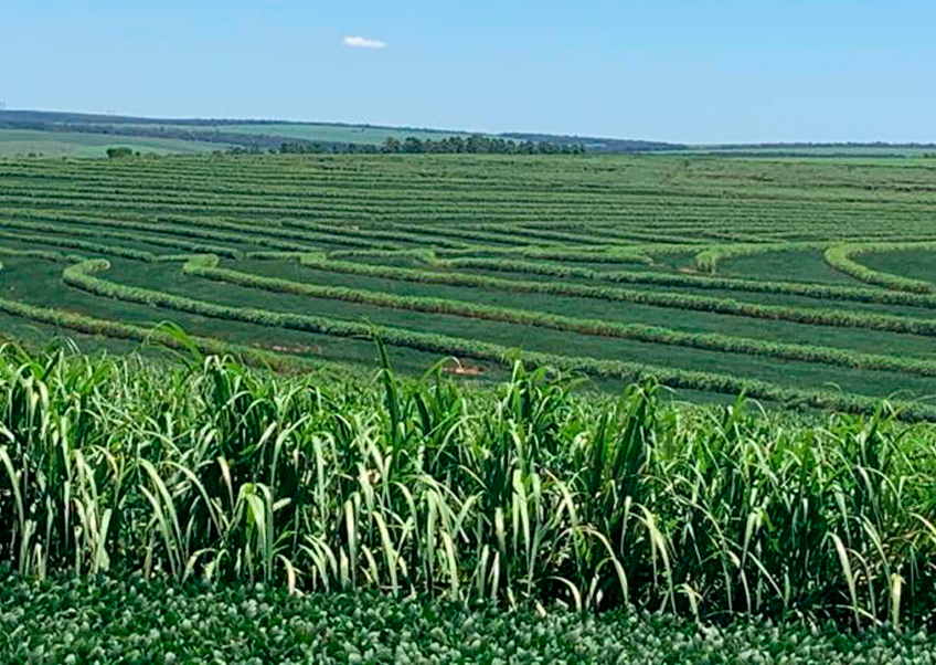 Fazenda Sgavioli Fazenda Sgavioli
