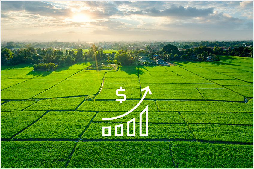 Gestão de Custo Agrícola para Fazendas Gestão de Custo Agrícola para Fazendas