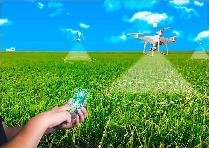 Manejo Integrado de Pragas (MIP) e Gestão Agrícola Eficiente Manejo Integrado de Pragas (MIP) e Gestão Agrícola Eficiente
