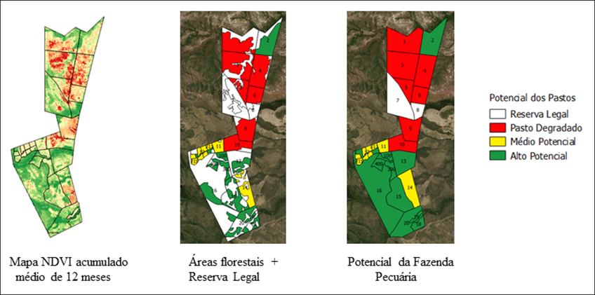 Mapas de NDVI Mapas de NDVI