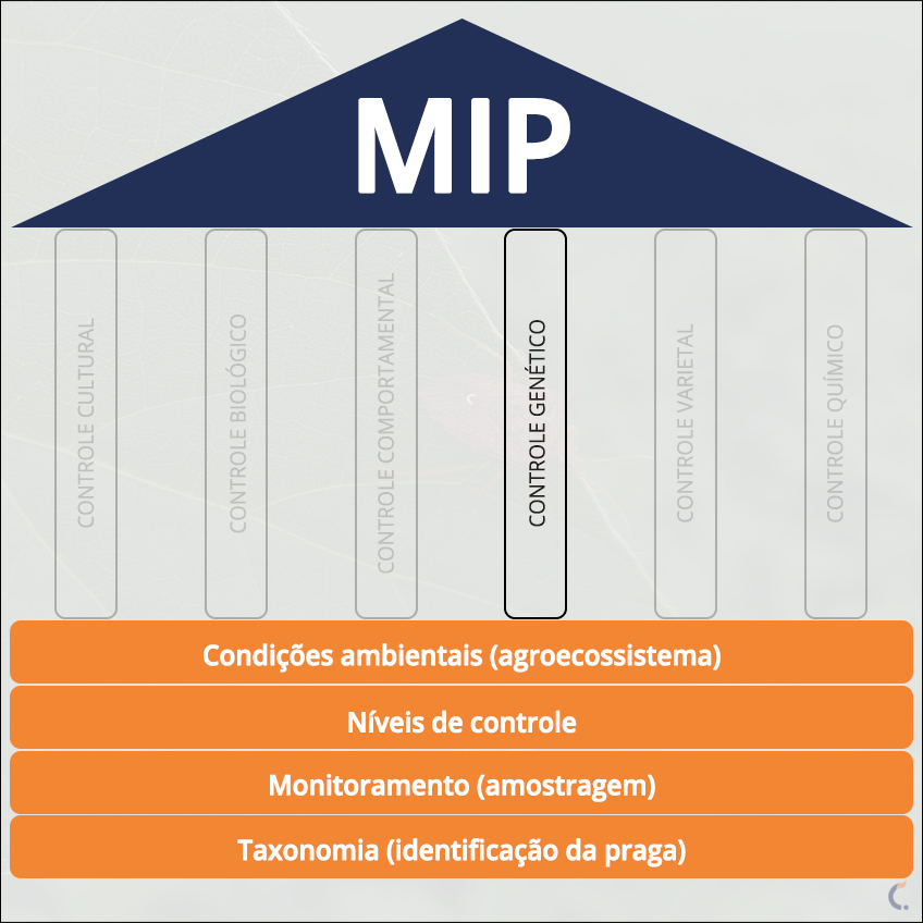 MIP Controle Genético MIP Controle Genético