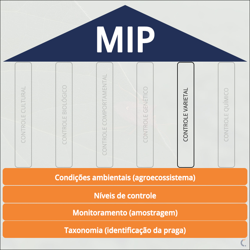 MIP Controle Varietal