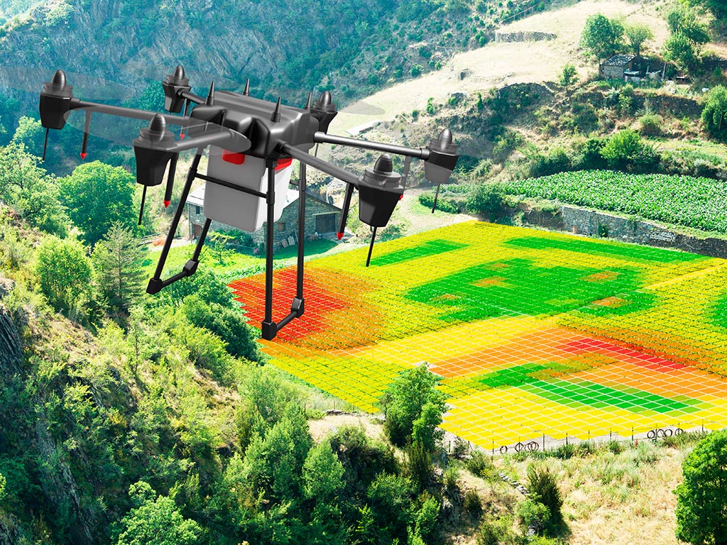 NDVI