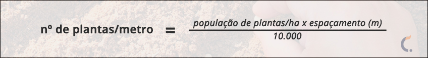 Cálculos Plantas Por Metro