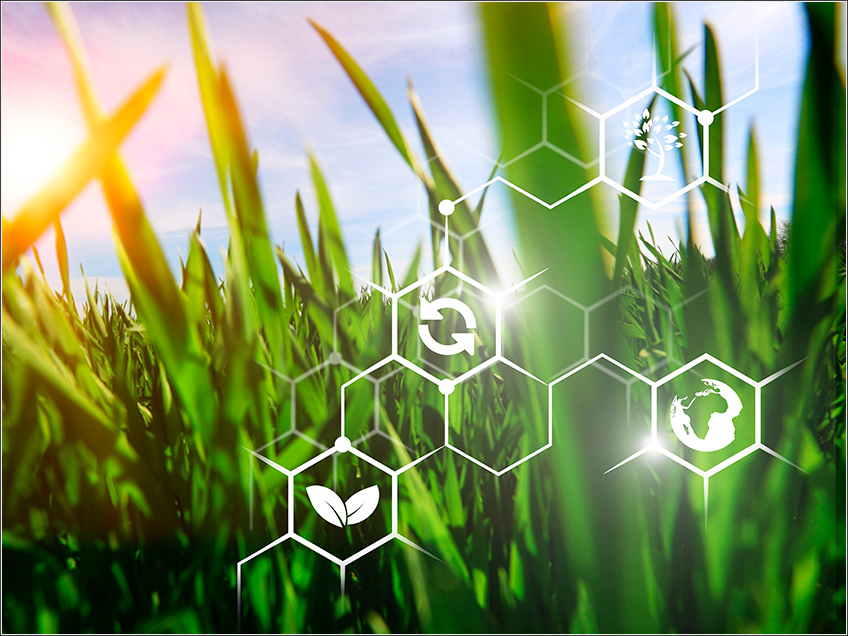 Nutrição do Solo para Cana-de-Açúcar Nutrição do Solo para Cana-de-Açúcar