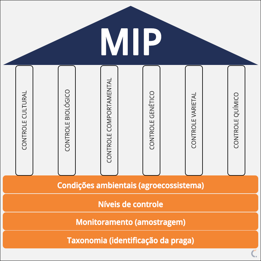 Pilares do MIP Pilares do MIP