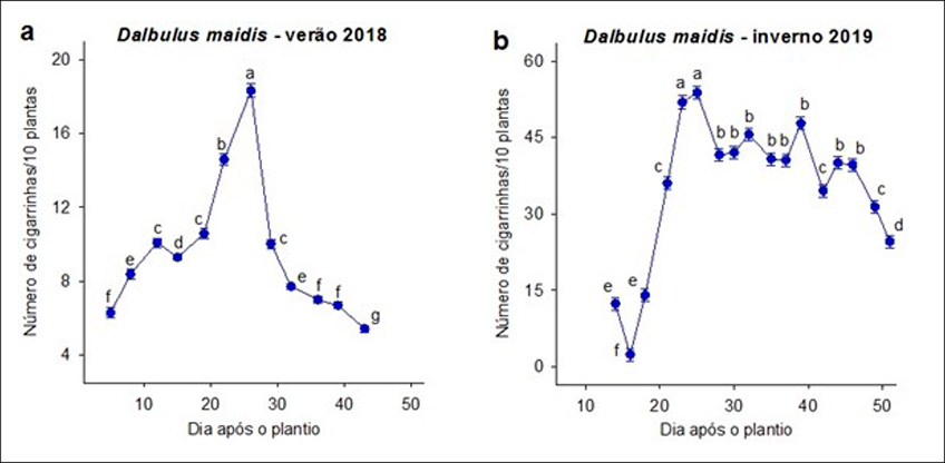 Dinâmica Populacional da Cigarrinha do Milho Dinâmica Populacional da Cigarrinha do Milho