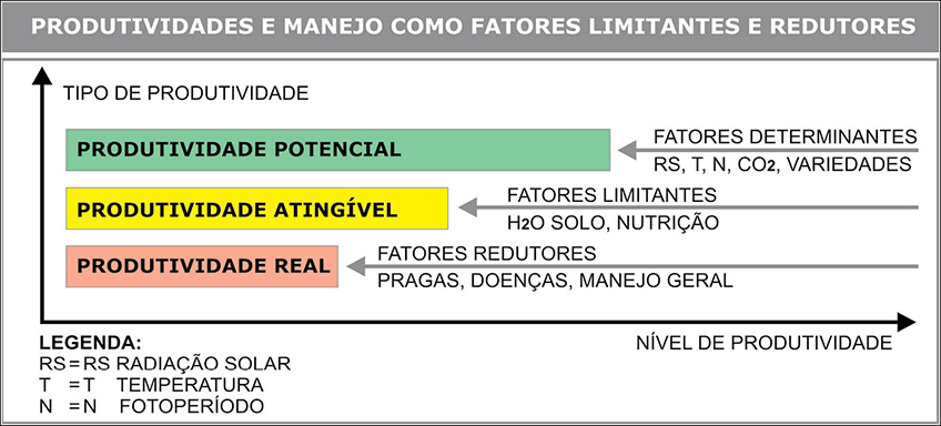 Produtividade e Manejo  como Fatores Limitantes e Redutores da Cana