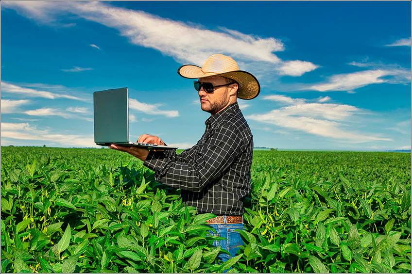 Produtividade da Soja Produtividade da Soja