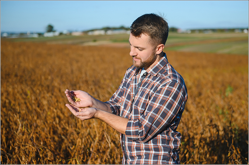 Produtividade da Soja PMS