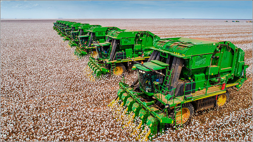Sistema Picker de Colheita de Algodão