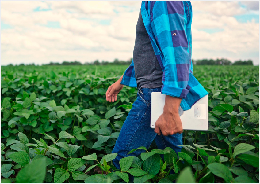 Gestão Agrícola de Lavoura de Soja