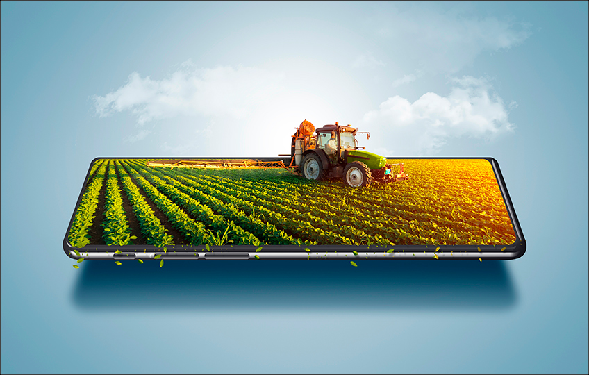 Software para Custo Agrícola Software para Custo Agrícola