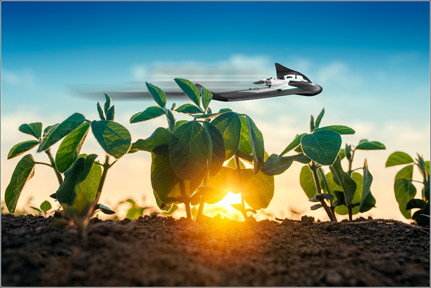 Uso de Drones na Soja Uso de Drones na Soja